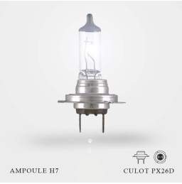 Ampoule H7 12V-55W Culot PX26d 