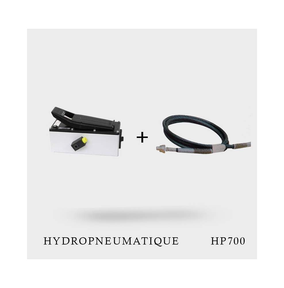 Pompe Hydropneumatique HP 700 Tip Top + flexible