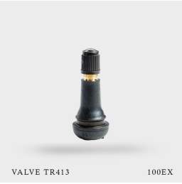 100 Valves TR413 pneu tubeless