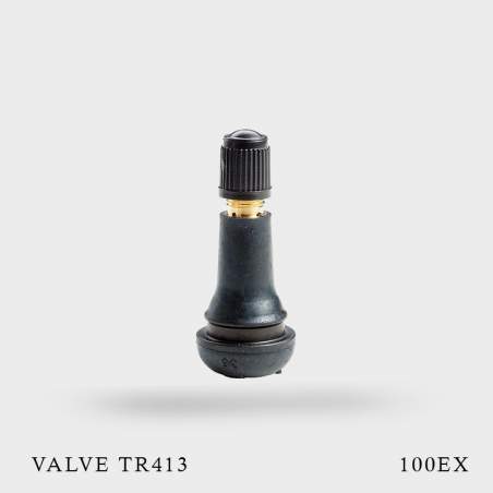 Connect 35074 Lot de 100 intérieurs de valve de pneu