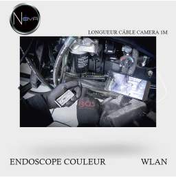 Endoscope couleurs