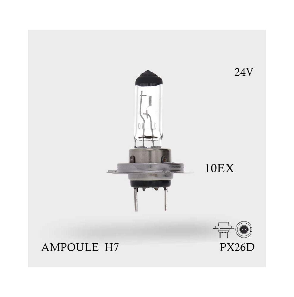 Ampoule H7 24V-70W