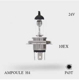 Ampoule H4 24V - 75/70W