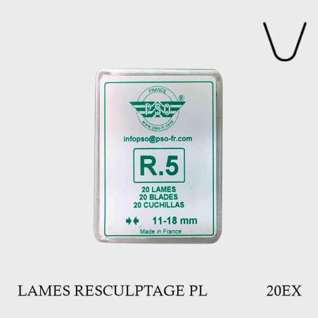 Lames de resculptage R5