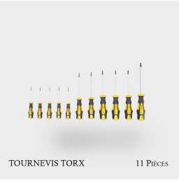 Jeu de tournevis profil Torx