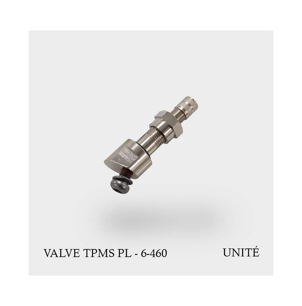 Valve TPMS poids lourds Hamaton 6-460