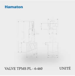 Valve TPMS poids lourds Hamaton 6-460