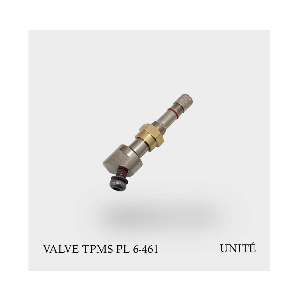 Valve TPMS poids lourd