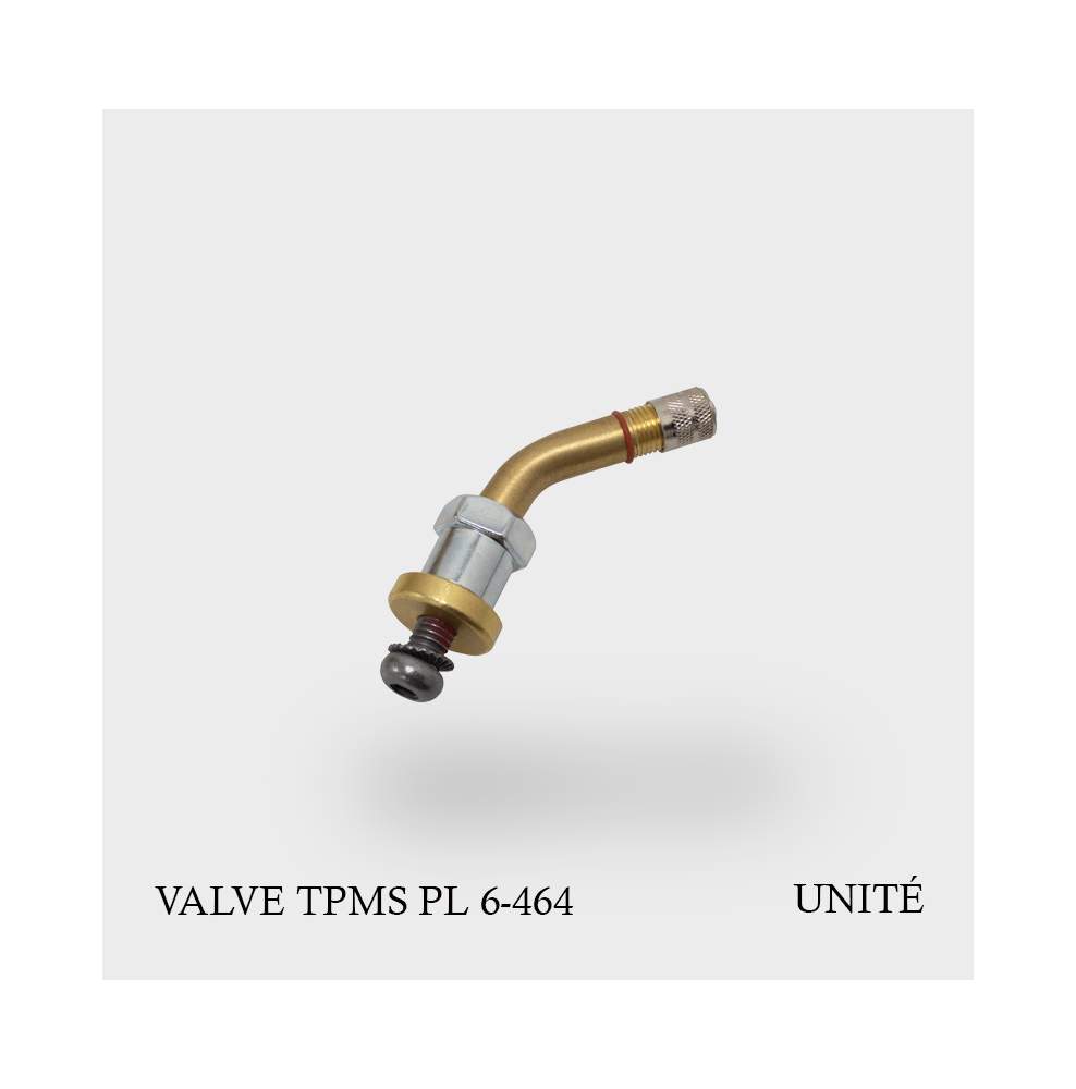 Valve TPMS poids lourd