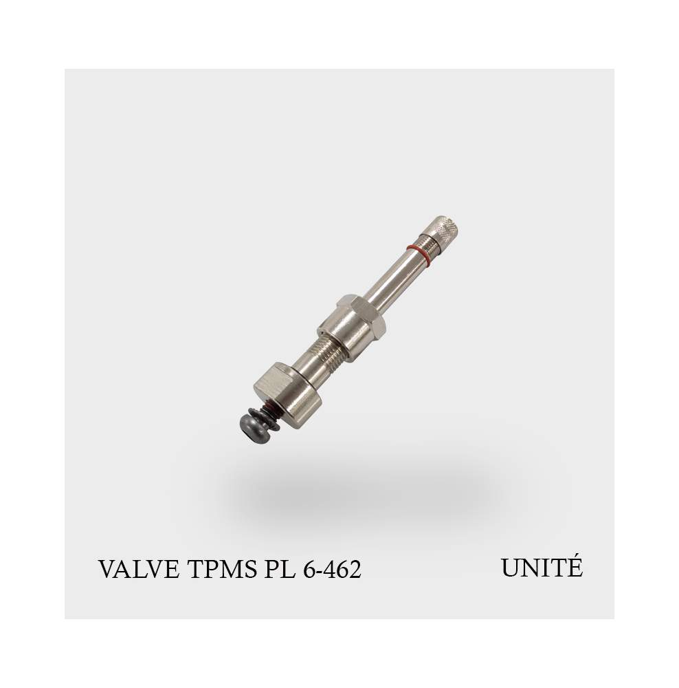 Valve TPMS poids lourd